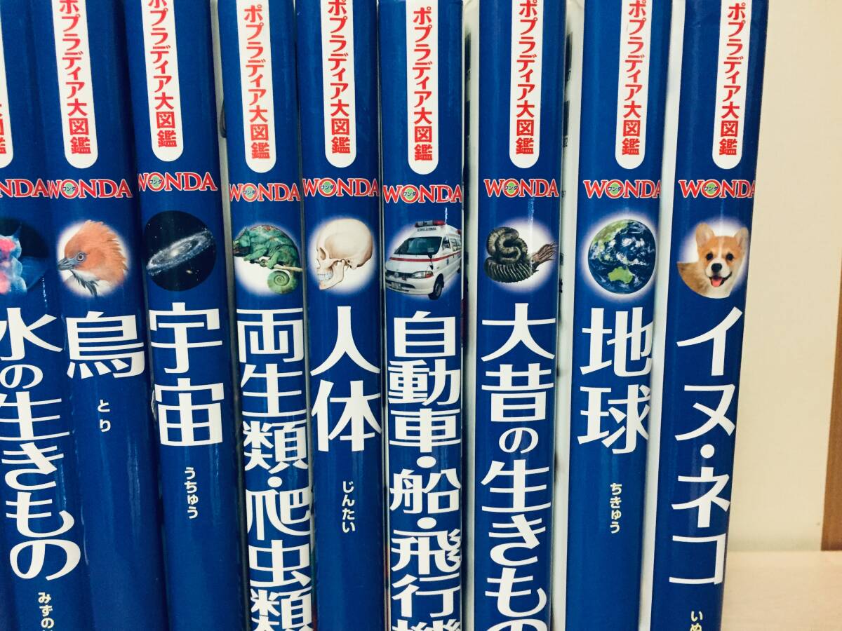 ポプラディア大図鑑WONDA ワンダ ポプラ社 全16巻|Yahoo!フリマ ポプラディア大図鑑WONDA ワンダ ポプラ社 全16巻|Yahoo!フリマ