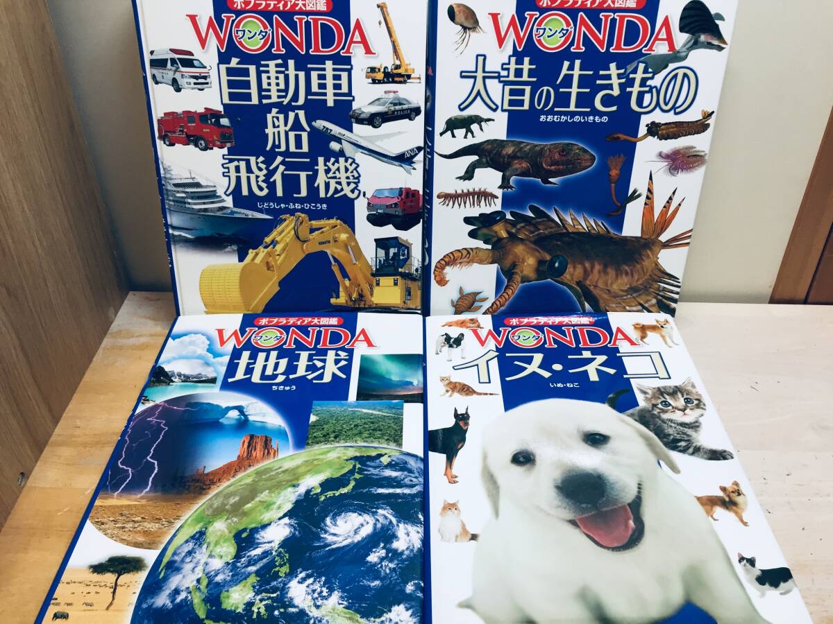 ポプラディア大図鑑WONDA ワンダ ポプラ社 全16巻|Yahoo!フリマ ポプラディア大図鑑WONDA ワンダ ポプラ社 全16巻|Yahoo!フリマ