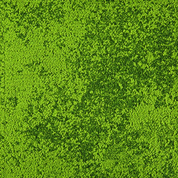 インターフェイス アーバン・リトリート 1(Urban Retreat One) UR103 50×50cm 20枚(5m2) 7150-004-000 Grass