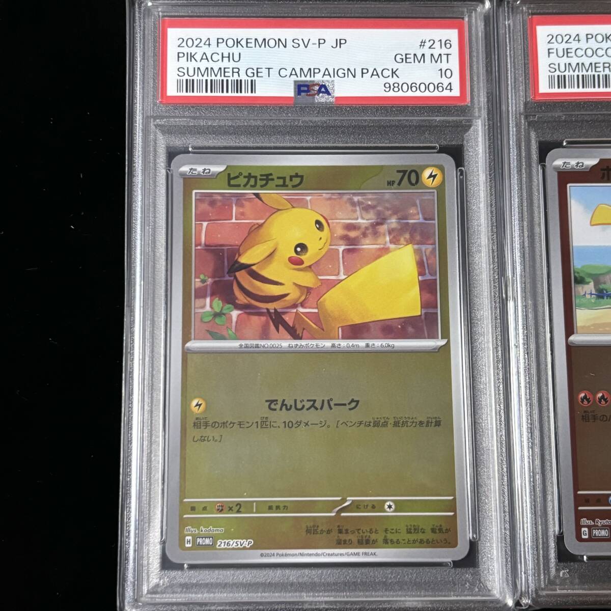 PSA 10 ポケモンカード プロモカード ホゲータ ピカチュウ PSA 10 ポケモンカード プロモカード ホゲータ ピカチュウ