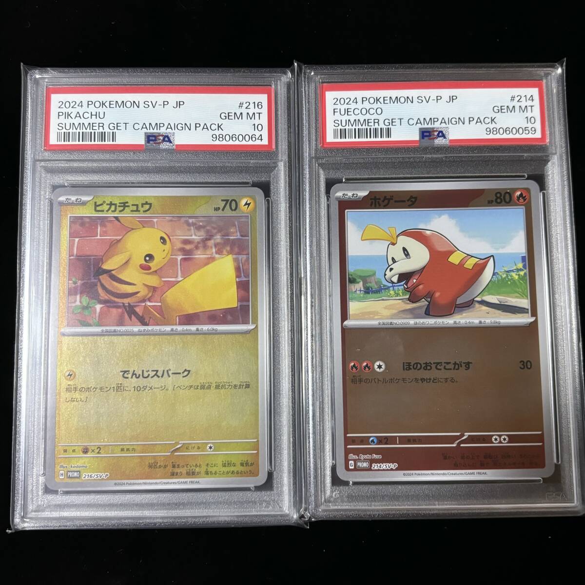 PSA 10 ポケモンカード プロモカード ホゲータ ピカチュウ PSA 10 ポケモンカード プロモカード ホゲータ ピカチュウ