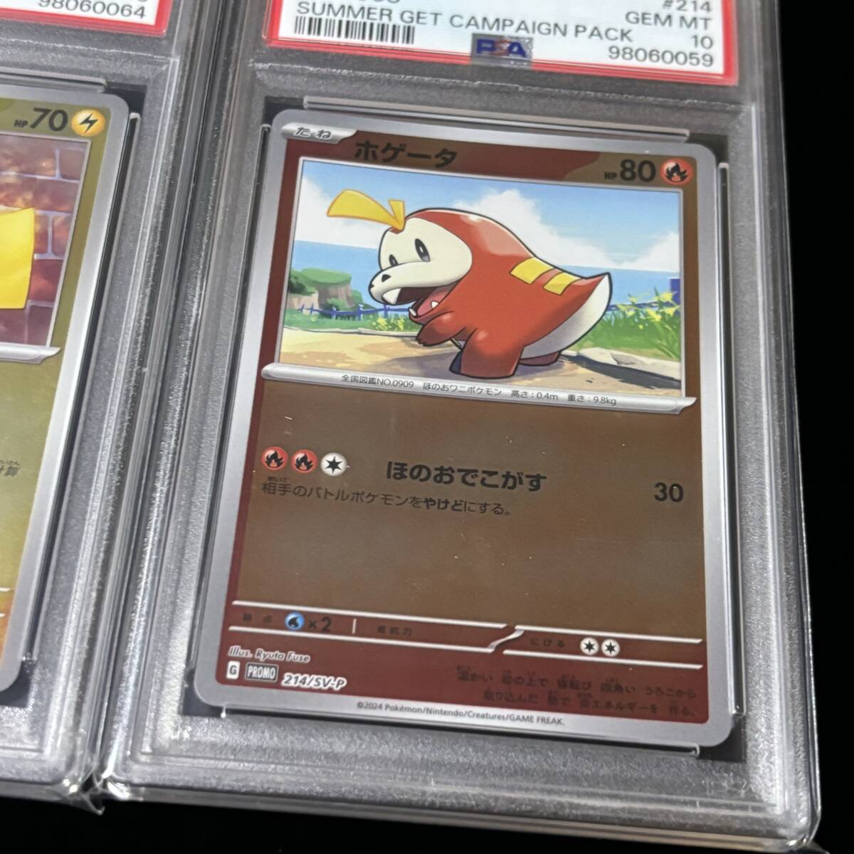 PSA 10 ポケモンカード プロモカード ホゲータ ピカチュウ PSA 10 ポケモンカード プロモカード ホゲータ ピカチュウ