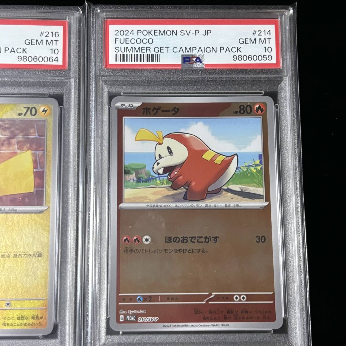 PSA 10 ポケモンカード プロモカード ホゲータ ピカチュウ PSA 10 ポケモンカード プロモカード ホゲータ ピカチュウ