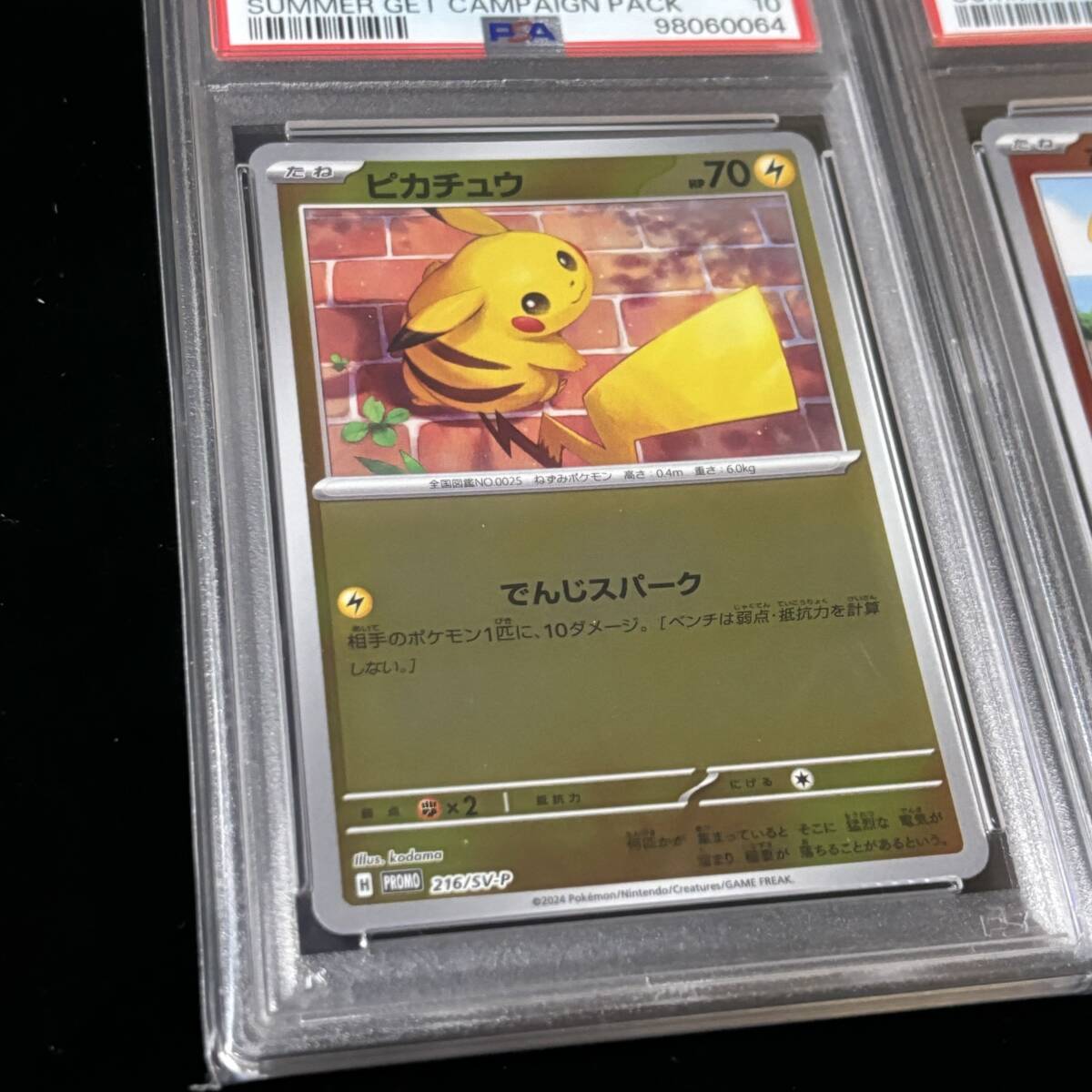 PSA 10 ポケモンカード プロモカード ホゲータ ピカチュウ PSA 10 ポケモンカード プロモカード ホゲータ ピカチュウ