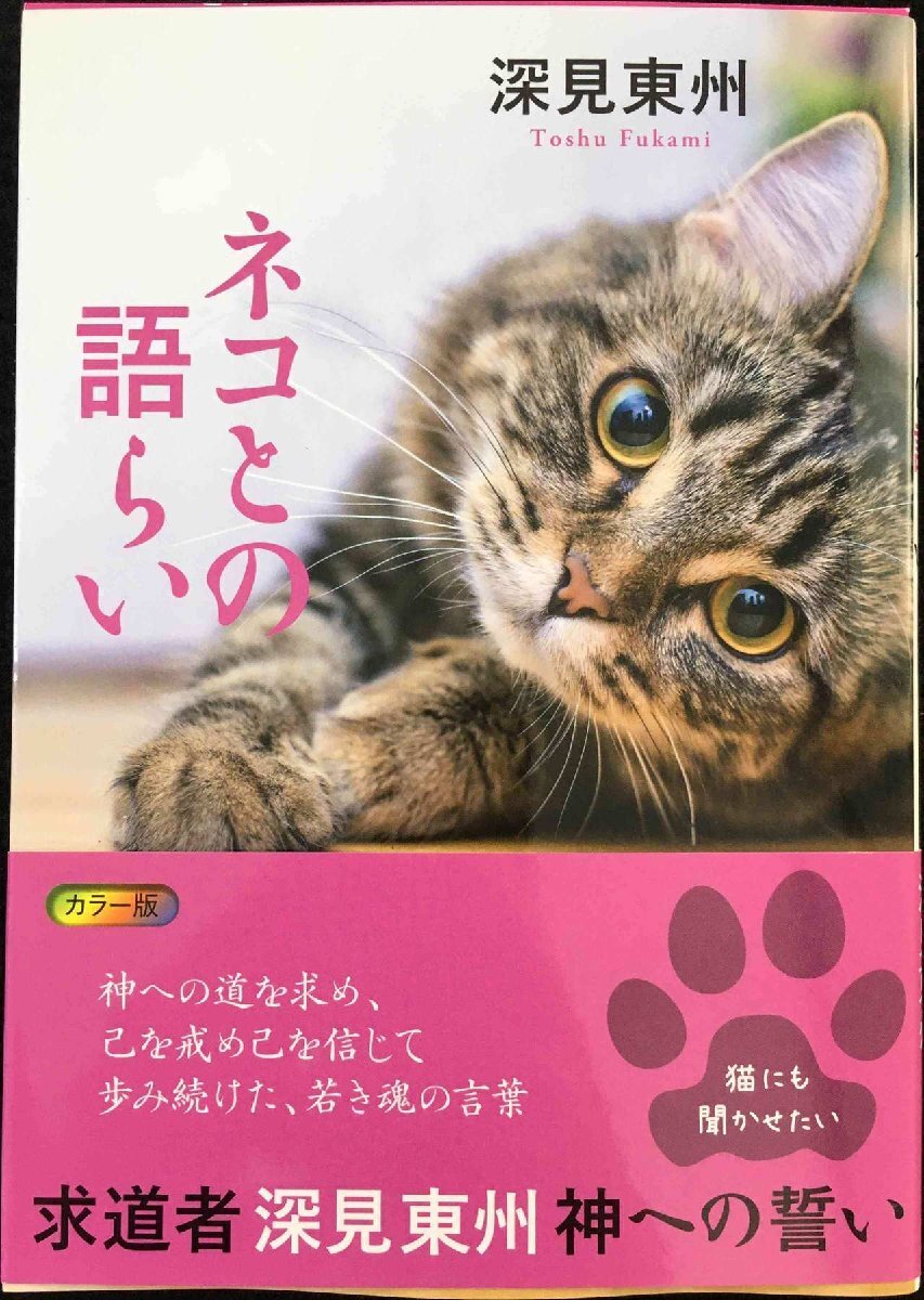 ネコとの語らい