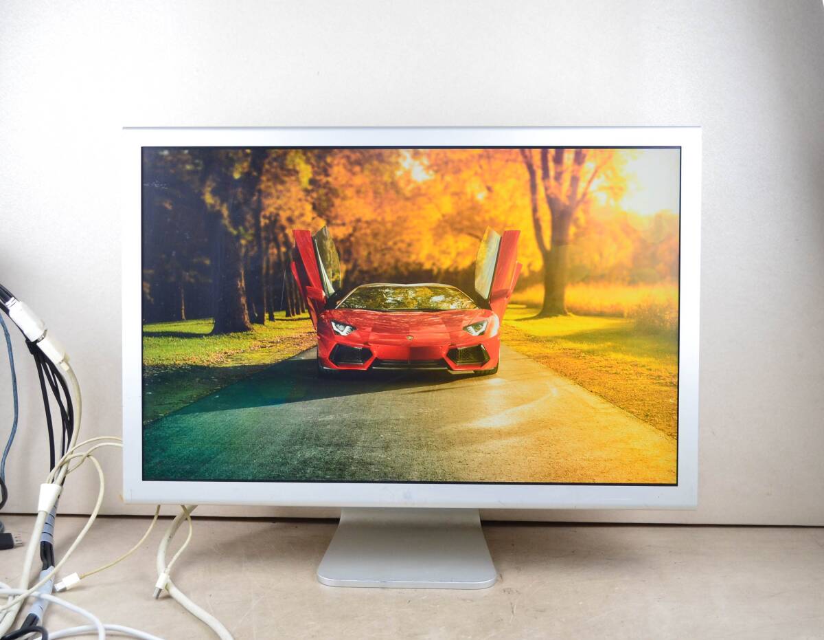 動作品 5151 アップル APPLE 30型 Cinema Display A1083 解像度 動作品 5151 アップル APPLE 30型 Cinema Display A1083 解像度