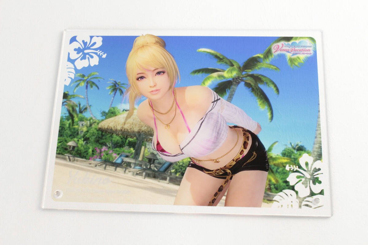 ゆきの アクリルボード DOAxvv i-img1200x800-