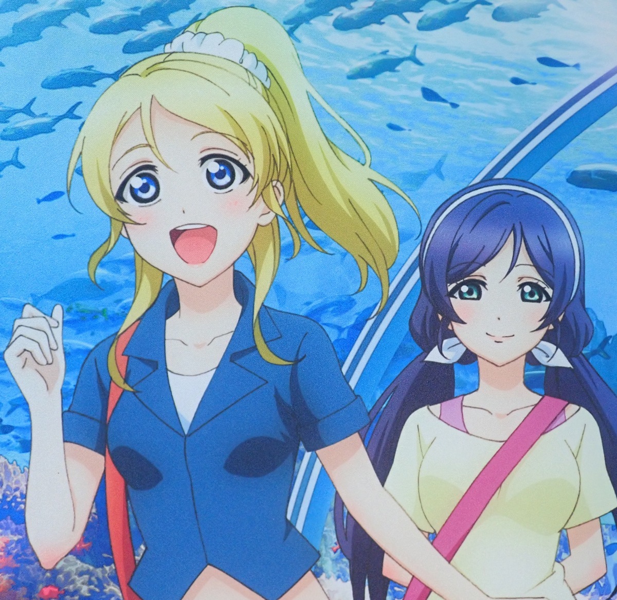 絢瀬絵里 ＆ 東條希 水族館デート タペストリー 「ラブライブ