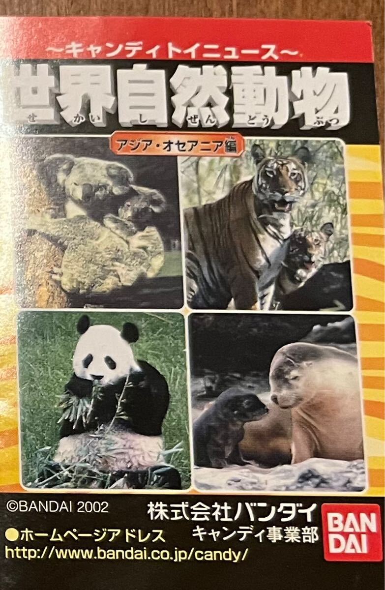 コンプ　バンダイ 世界自然動物 動物親子 アジア・オセアニア編 シークレット2種込み 全19種 コンプリート