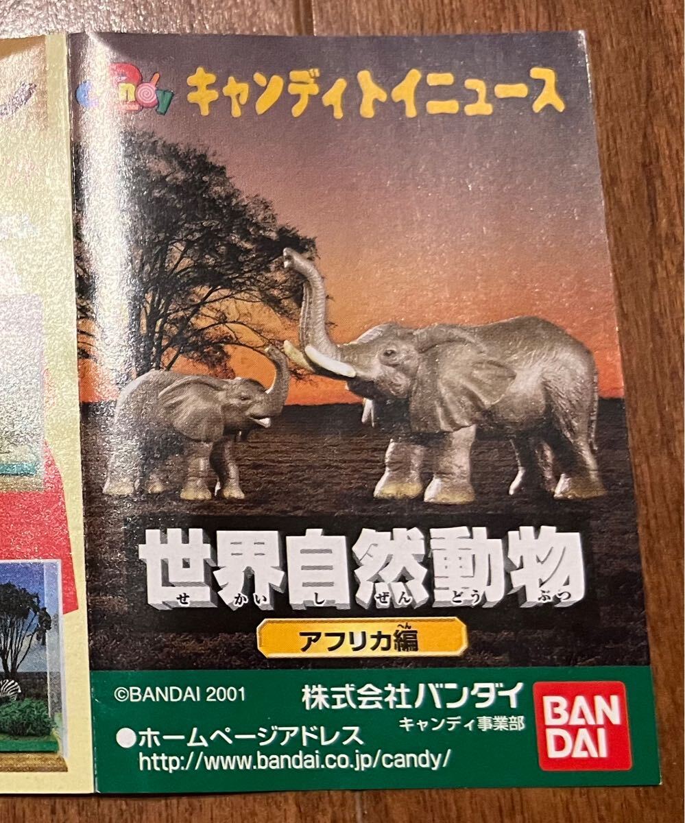 コンプ　バンダイ 世界自然動物 動物親子 アフリカ編 シークレット込み 全21種