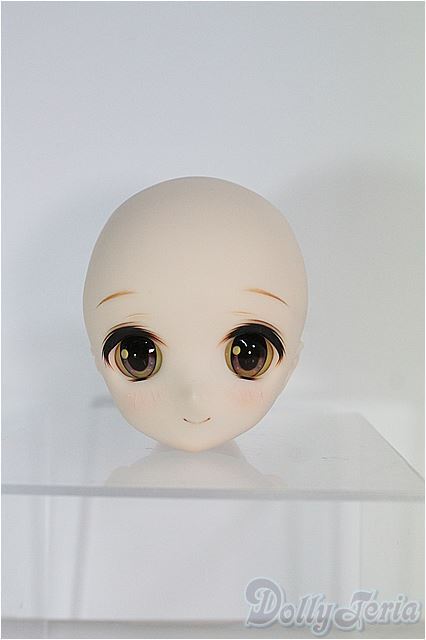 見事な創造力 DD/DDH-01カスタムヘッド I-24-09-22-1120-TO-ZI ドルフィードリーム 本体