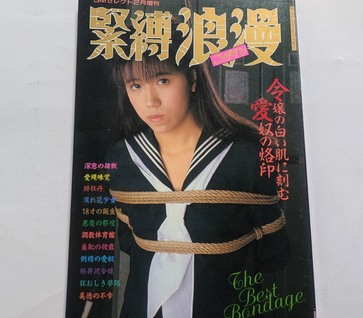 緊縛浪漫 SMセレクト2月増刊SM秘小説 SM?緊縛 WRO2