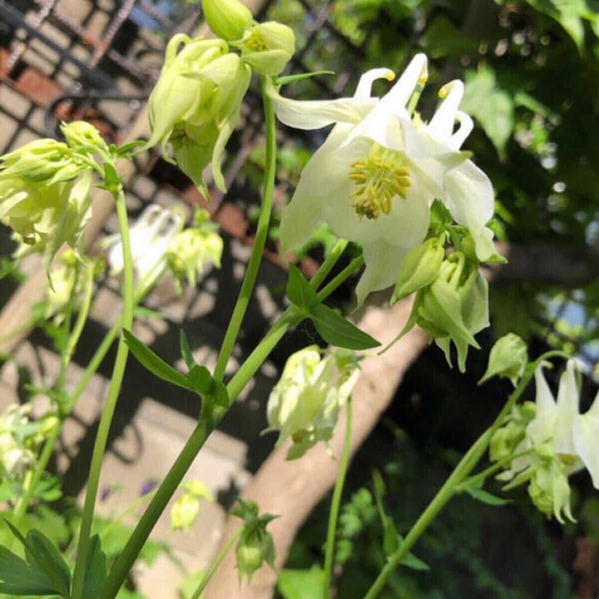 item_image_7