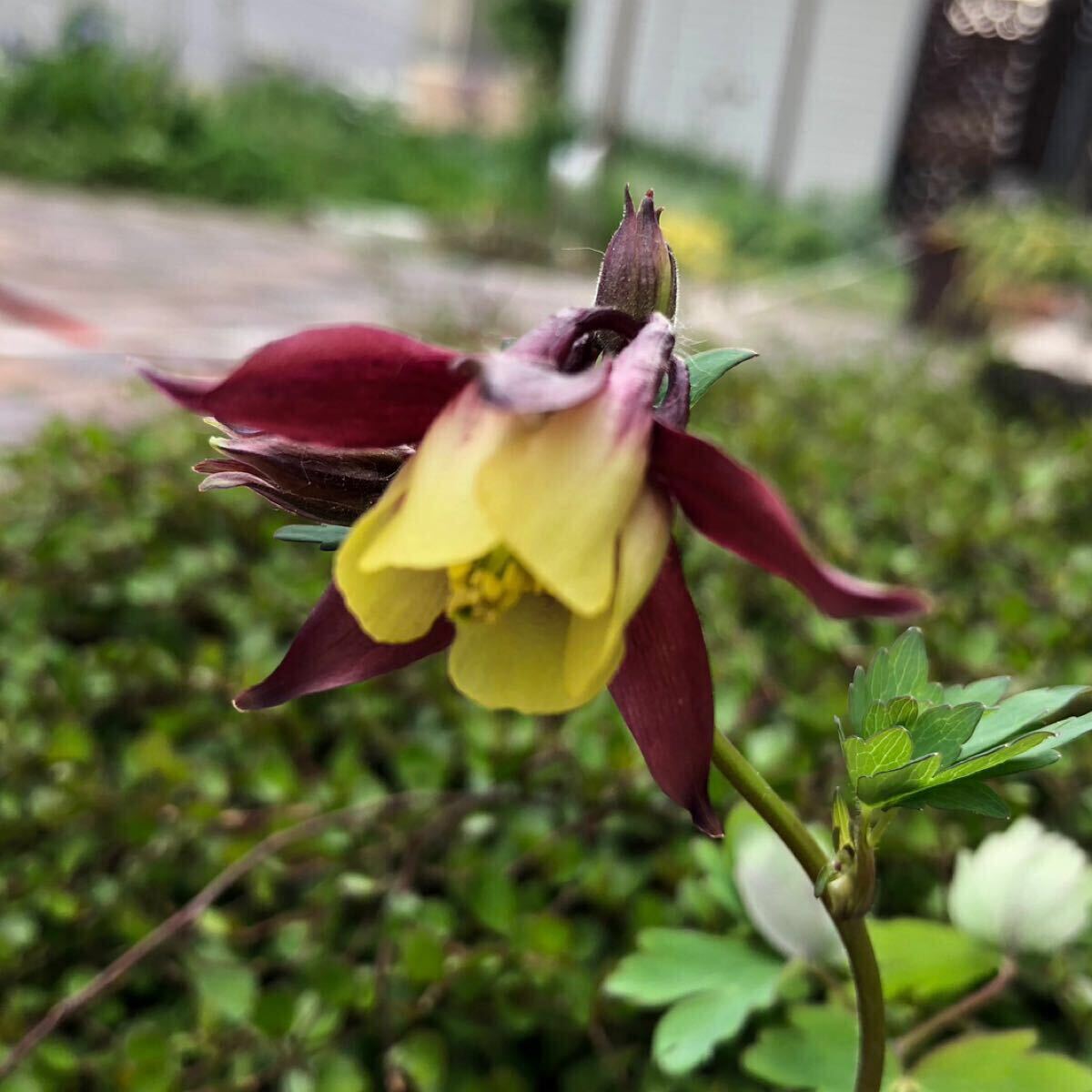 item_image_8