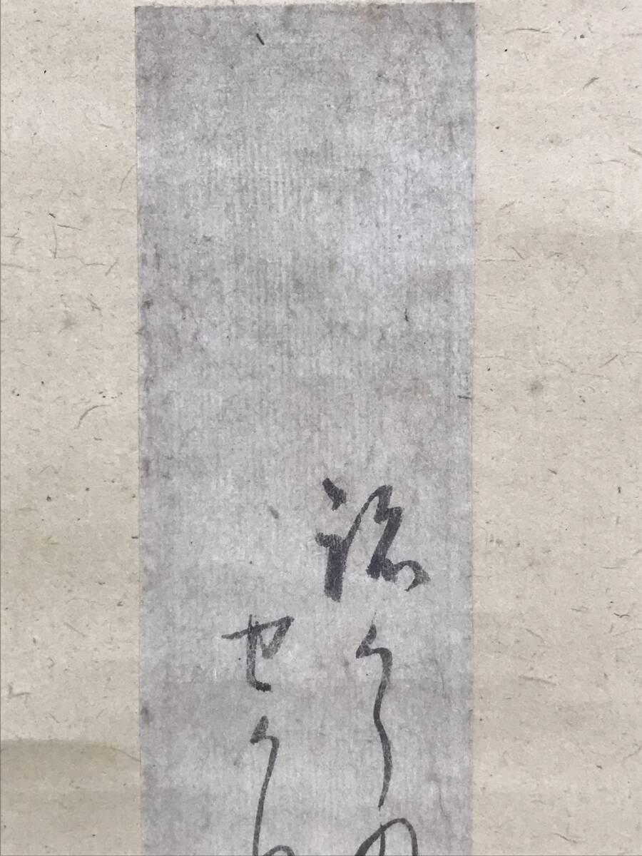 模写/小林一茶/短冊/俳句/亀/掛軸☆宝船☆AG-960