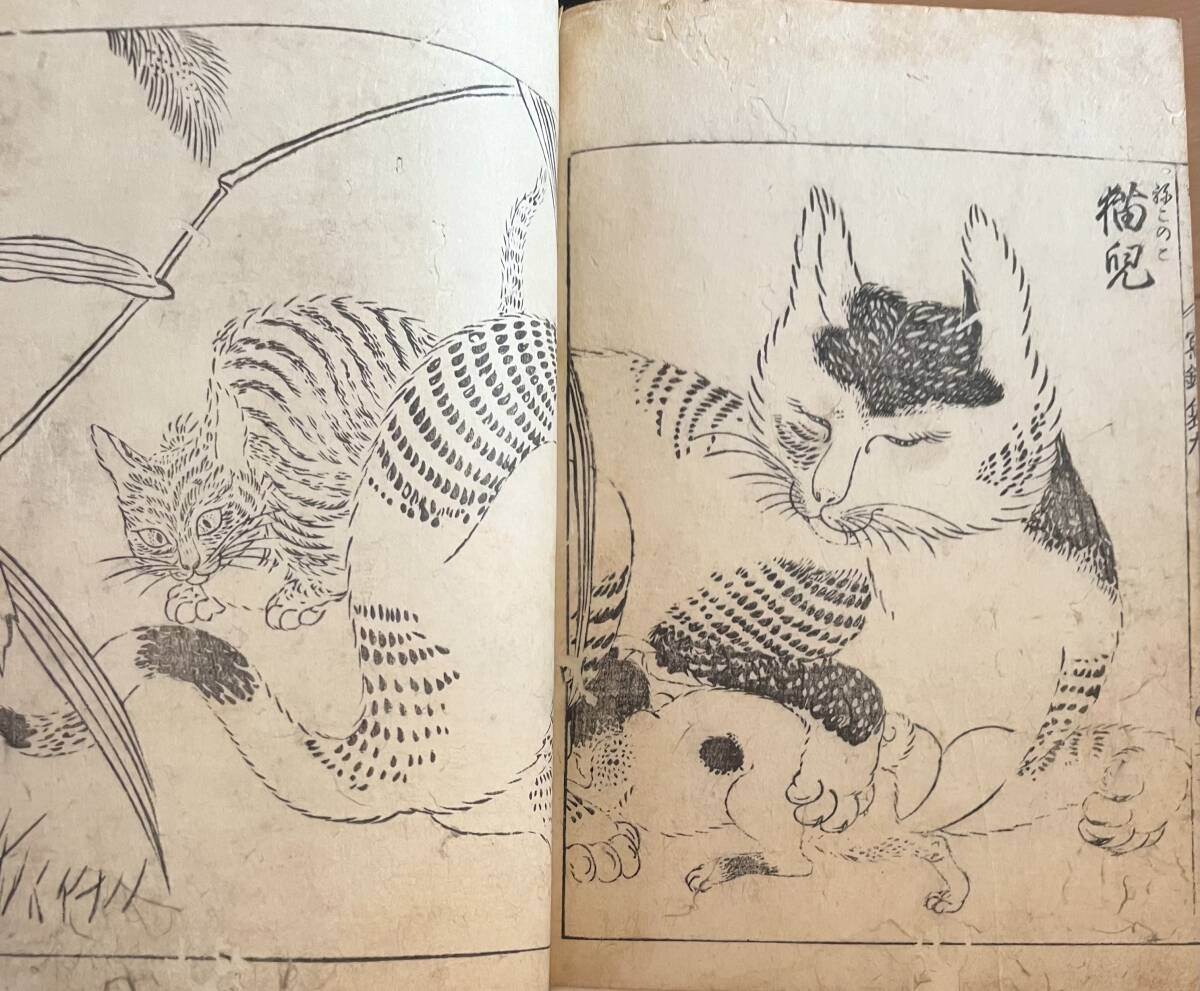 絵本写宝袋　巻九　　江戸　絵本　絵手本　麒麟　漠　虎　猫　動物　和本