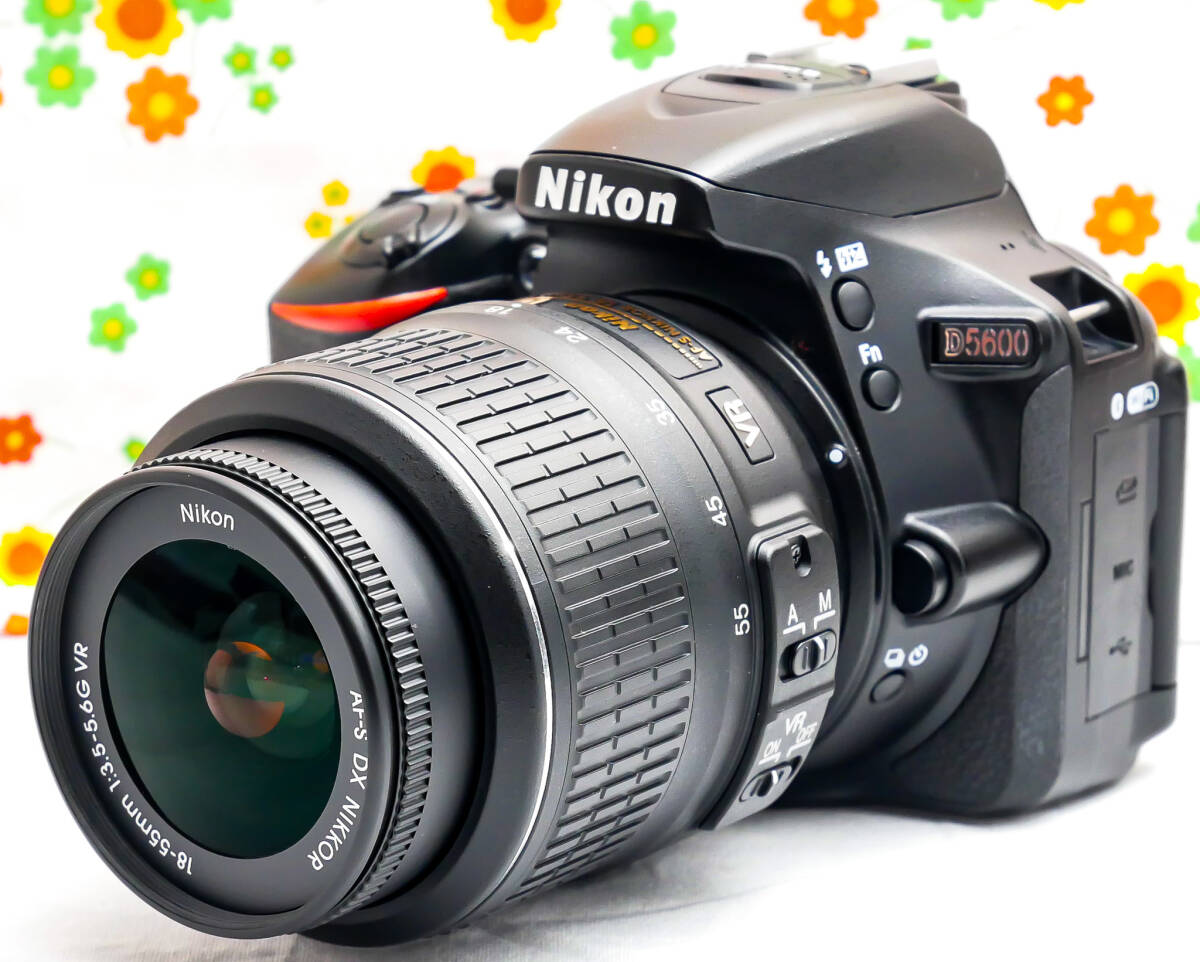 Nikon D5600 デジタル一眼レフカメラ【美品】 デジタル一眼
