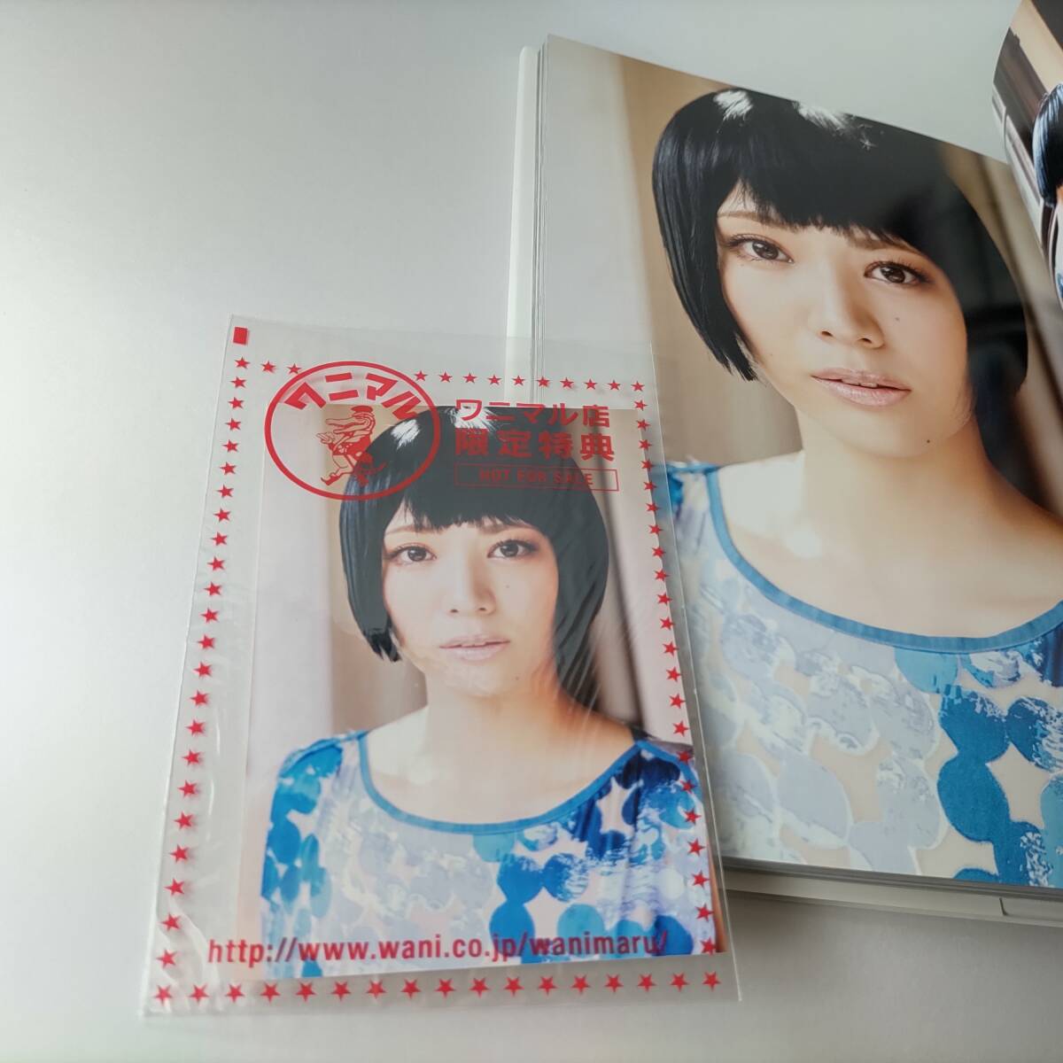 村井美樹 ファースト写真集 『 凛 』 ワニマル店限定特典 生写真 村井美樹 ファースト写真集 『 凛 』 ワニマル店限定特典 生写真