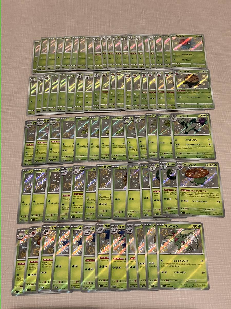 ポケモンカード ウルトラシャイニー Sコンプリート 色違い ポケモンカード ウルトラシャイニー Sコンプリート 色違い