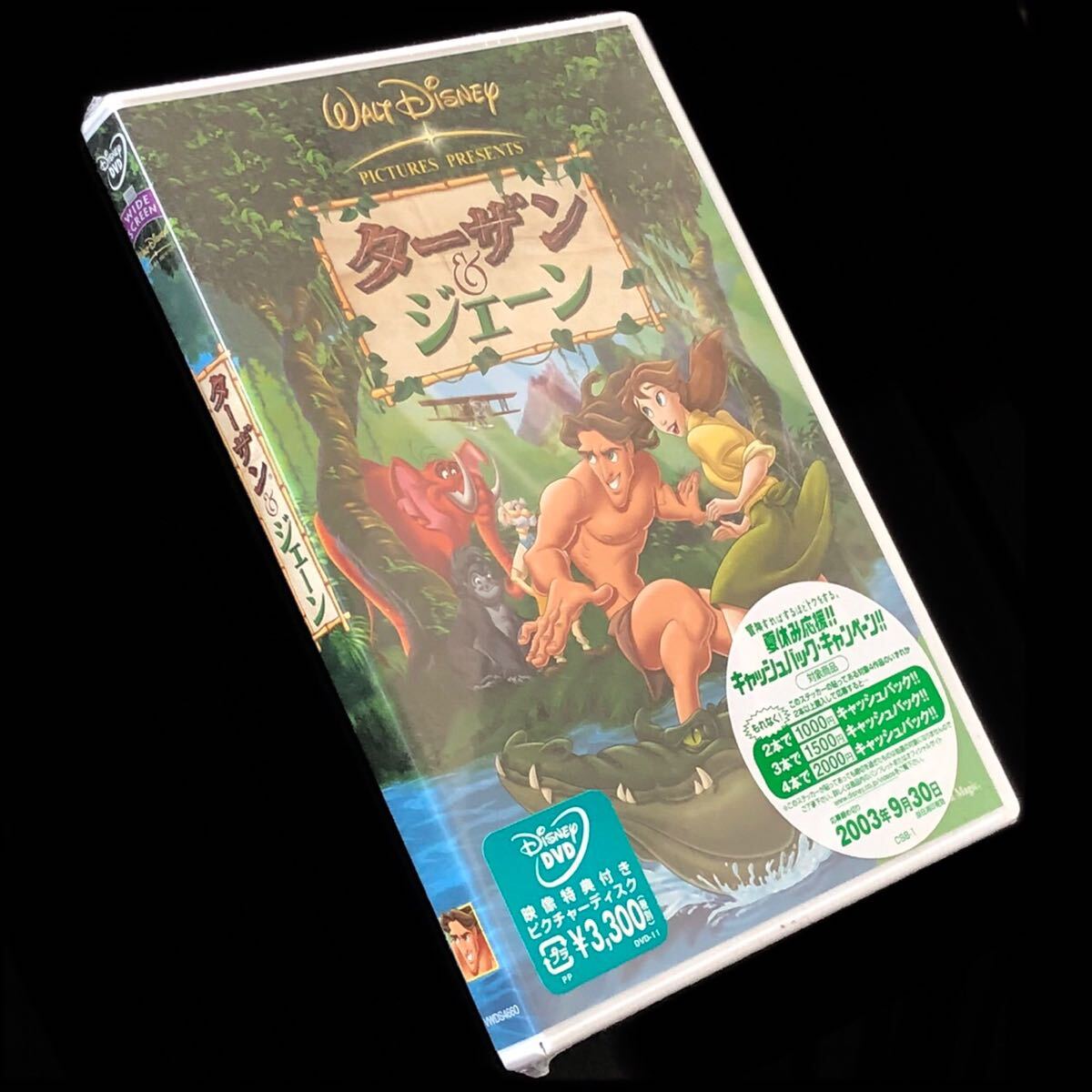 廃盤 ピクチャーディスク仕様 DVD「ターザン&ジェーン」 Disney 廃盤 ピクチャーディスク仕様 DVD「ターザン&ジェーン」 Disney