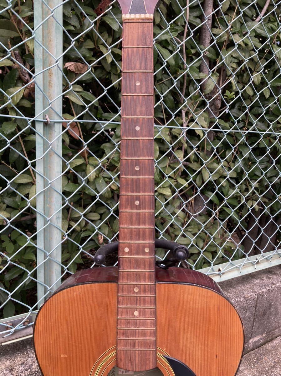 Iwama musical Instrument Rock guitar F65 ギター