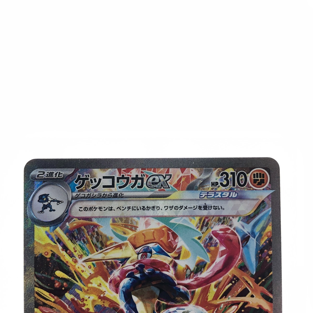 ドードー ジュゴン ポケモン スナック シール ドードー ジュゴン ポケモン スナック シール