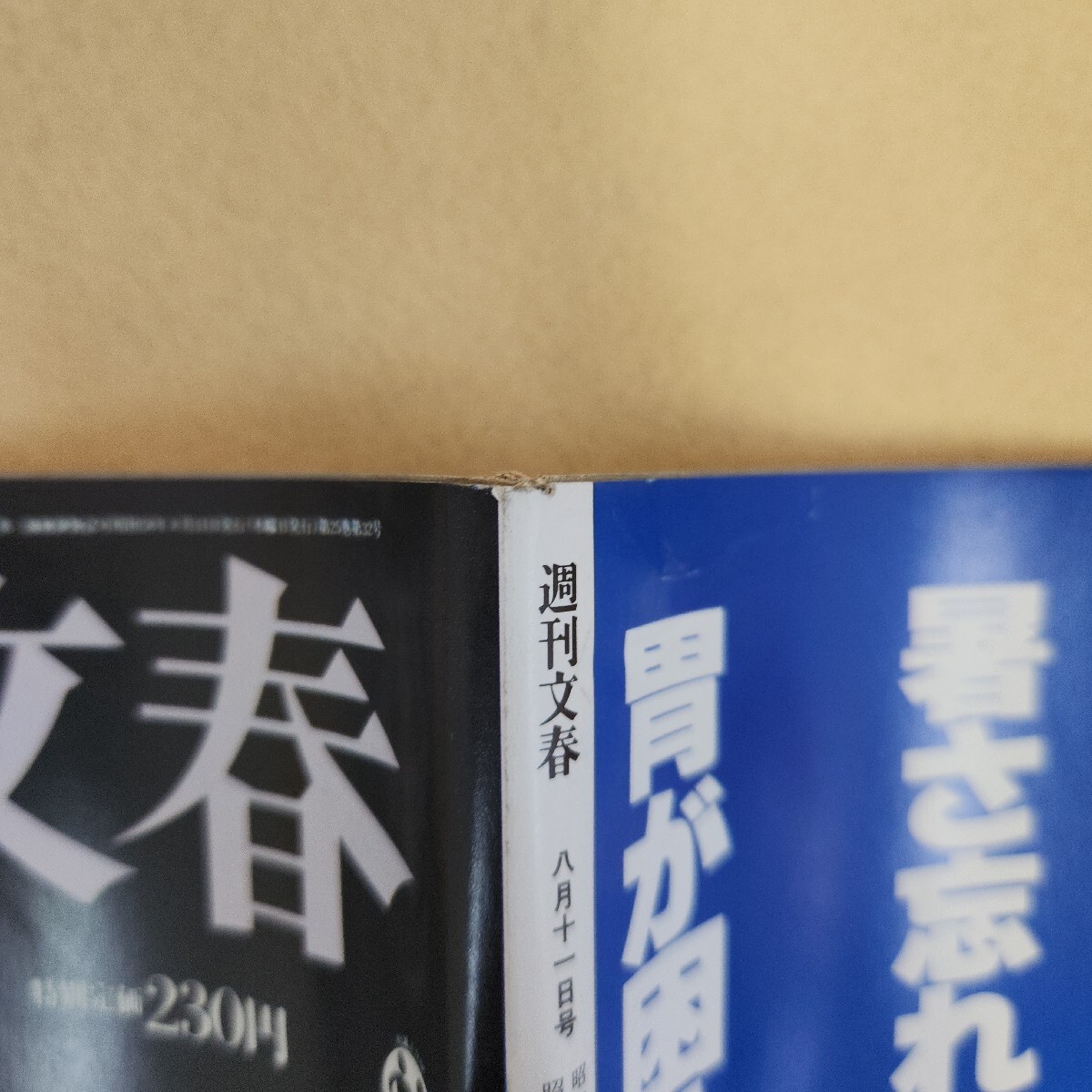 E59-055 週刊文春 1983年 八月十一日号 第二十五巻 第三十二号 E59-055 週刊文春 1983年 八月十一日号 第二十五巻 第三十二号
