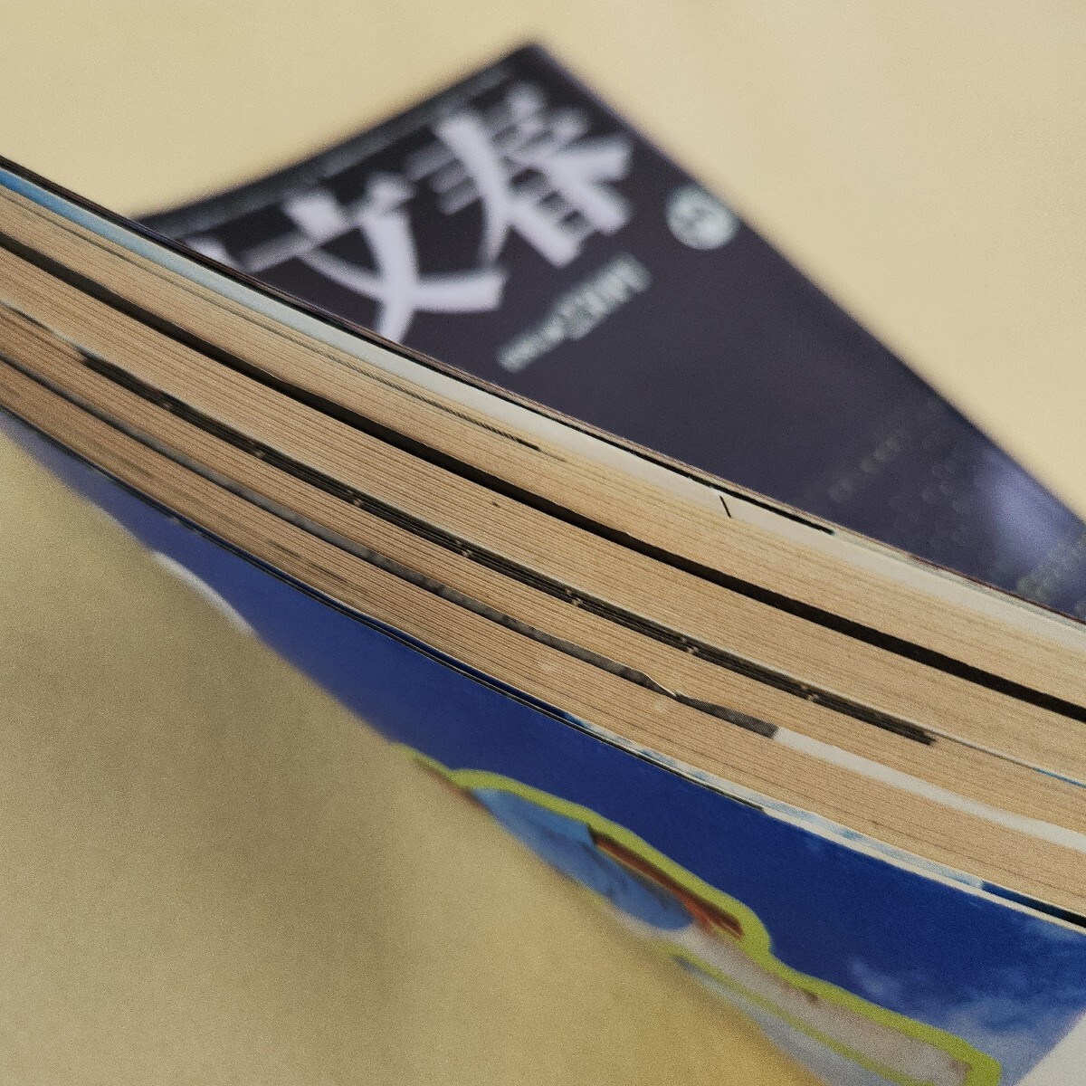 E59-055 週刊文春 1983年 八月十一日号 第二十五巻 第三十二号 E59-055 週刊文春 1983年 八月十一日号 第二十五巻 第三十二号