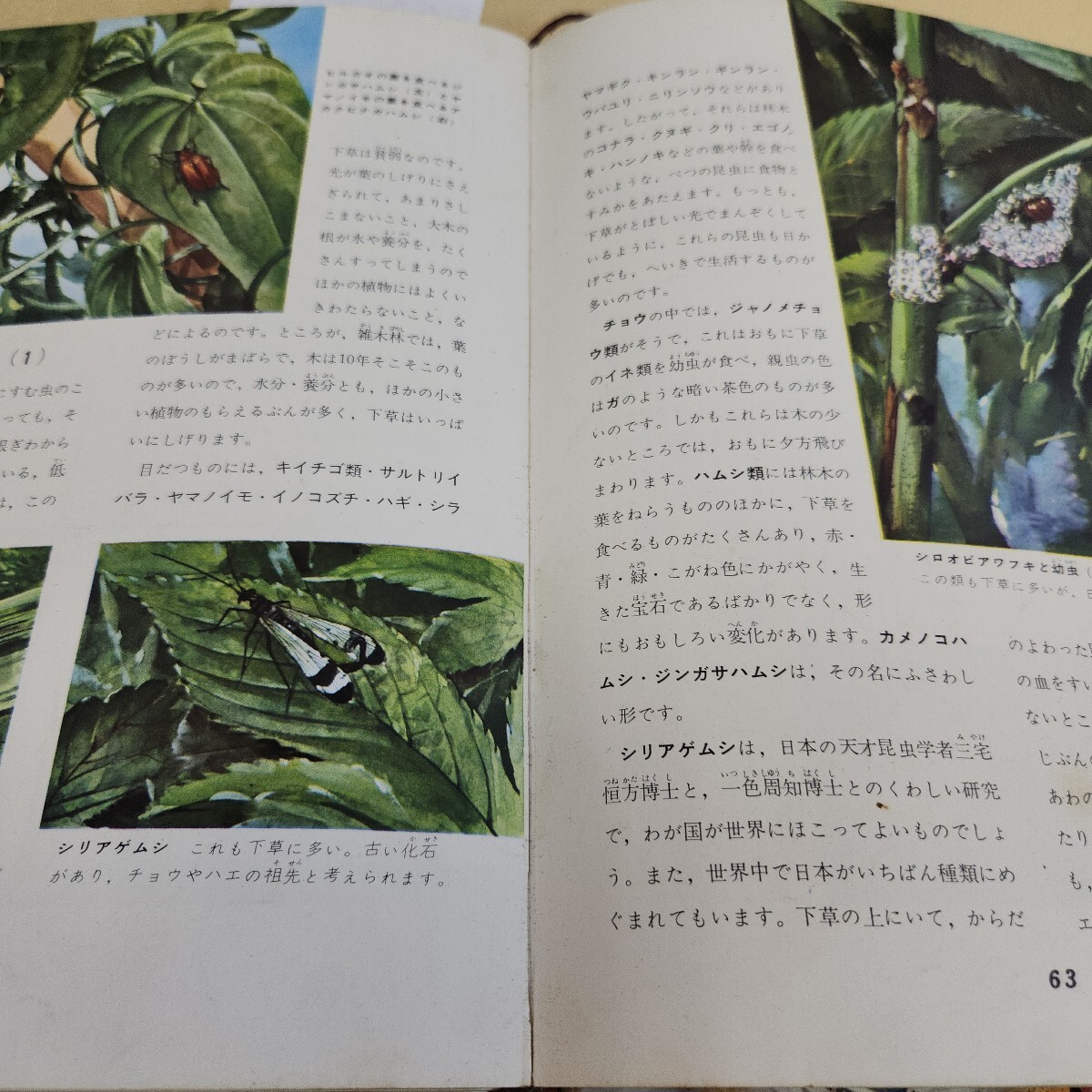 item_image_5
