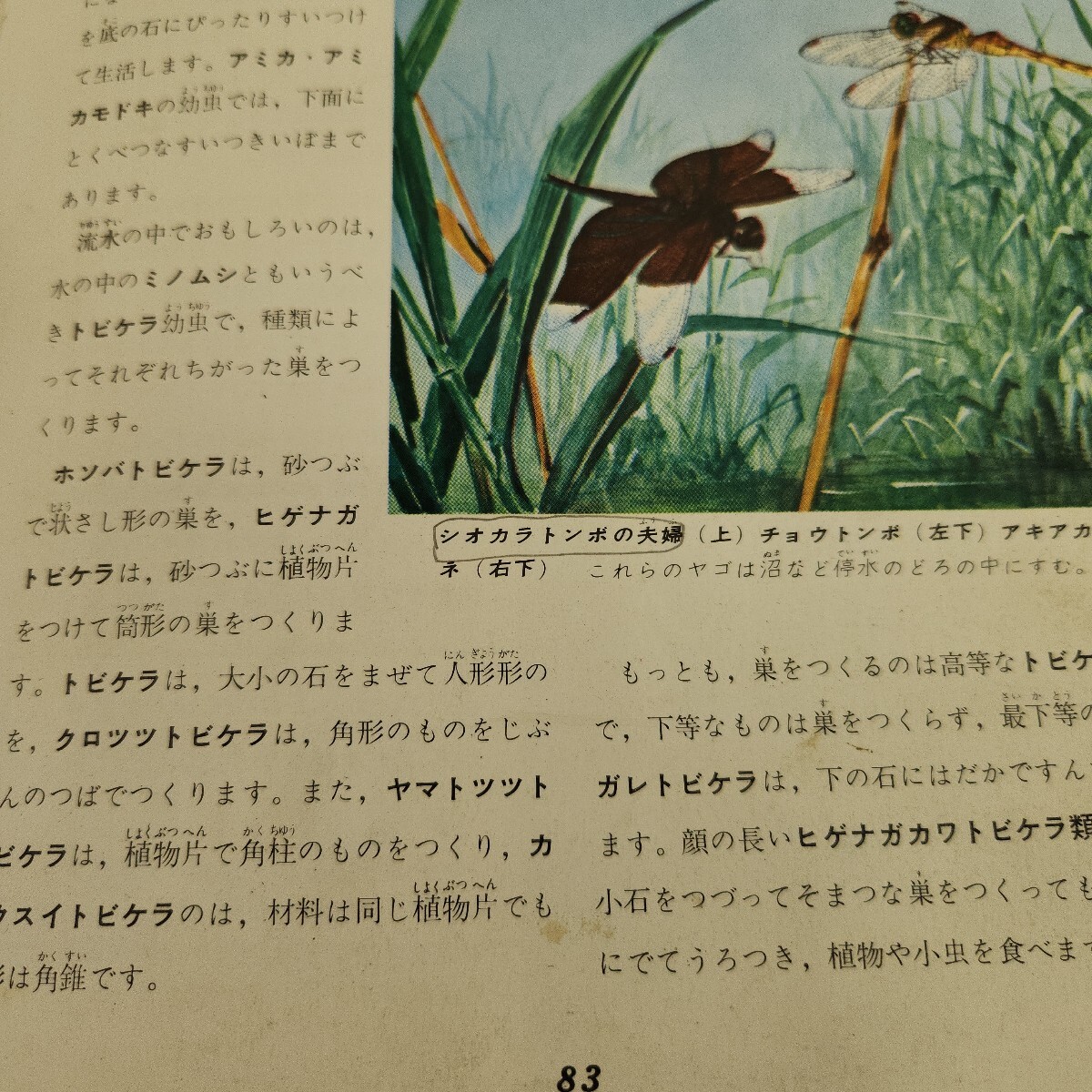 item_image_10