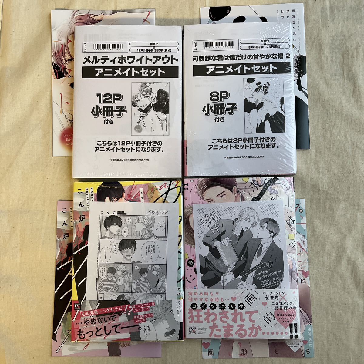 【未開封】BL 新書館 2024.10.1新刊 4冊まとめ売　小冊子2&リーフレット2&ペーパー4付 鯛野ニッケ 千野ち 園瀬もち こん炉