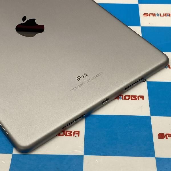 当日発送可iPad Pro 10.5インチ 64GB au版SIMフリー スペース 当日発送可iPad Pro 10.5インチ 64GB au版SIMフリー スペース