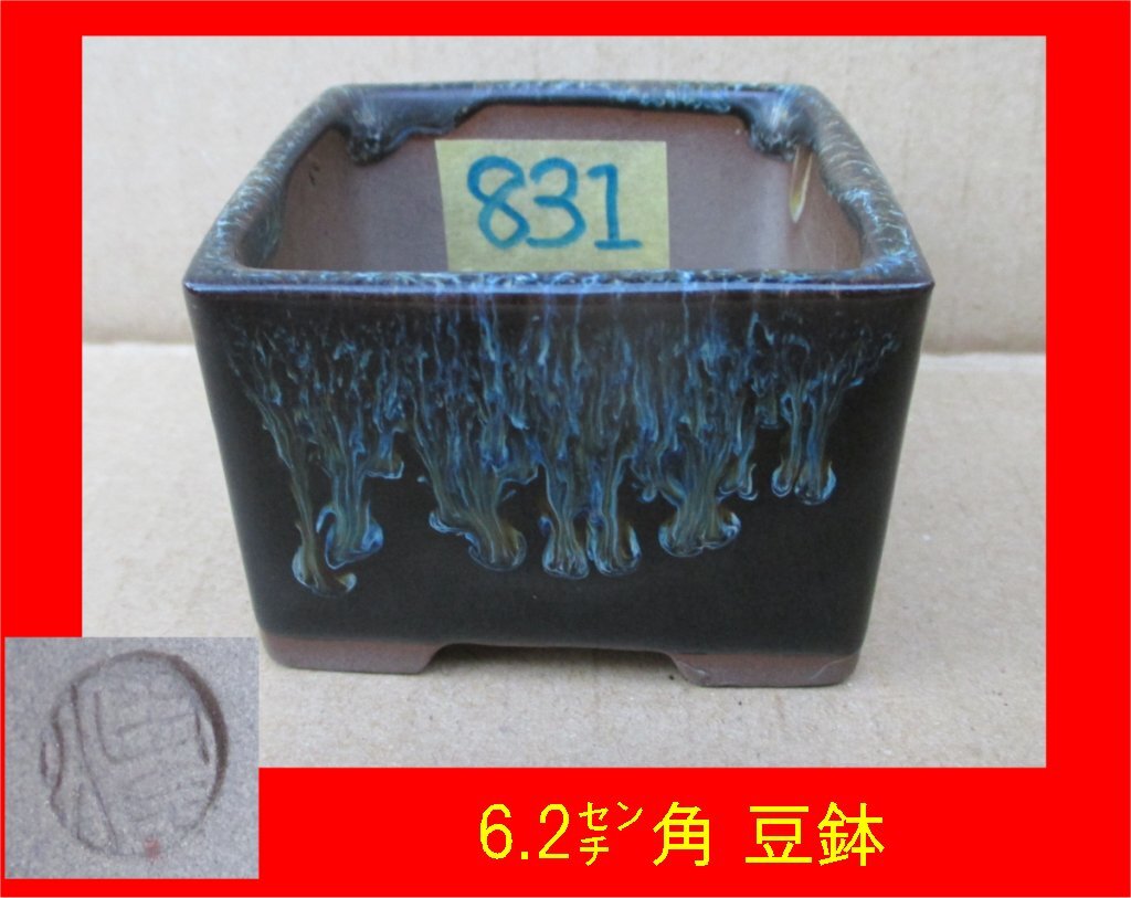 831 豆鉢 角型 6.2センチ角 高さ約4.2センチ 小盆栽などに 中古品に付き使用感アリ、画像にてご確認願います_画像1