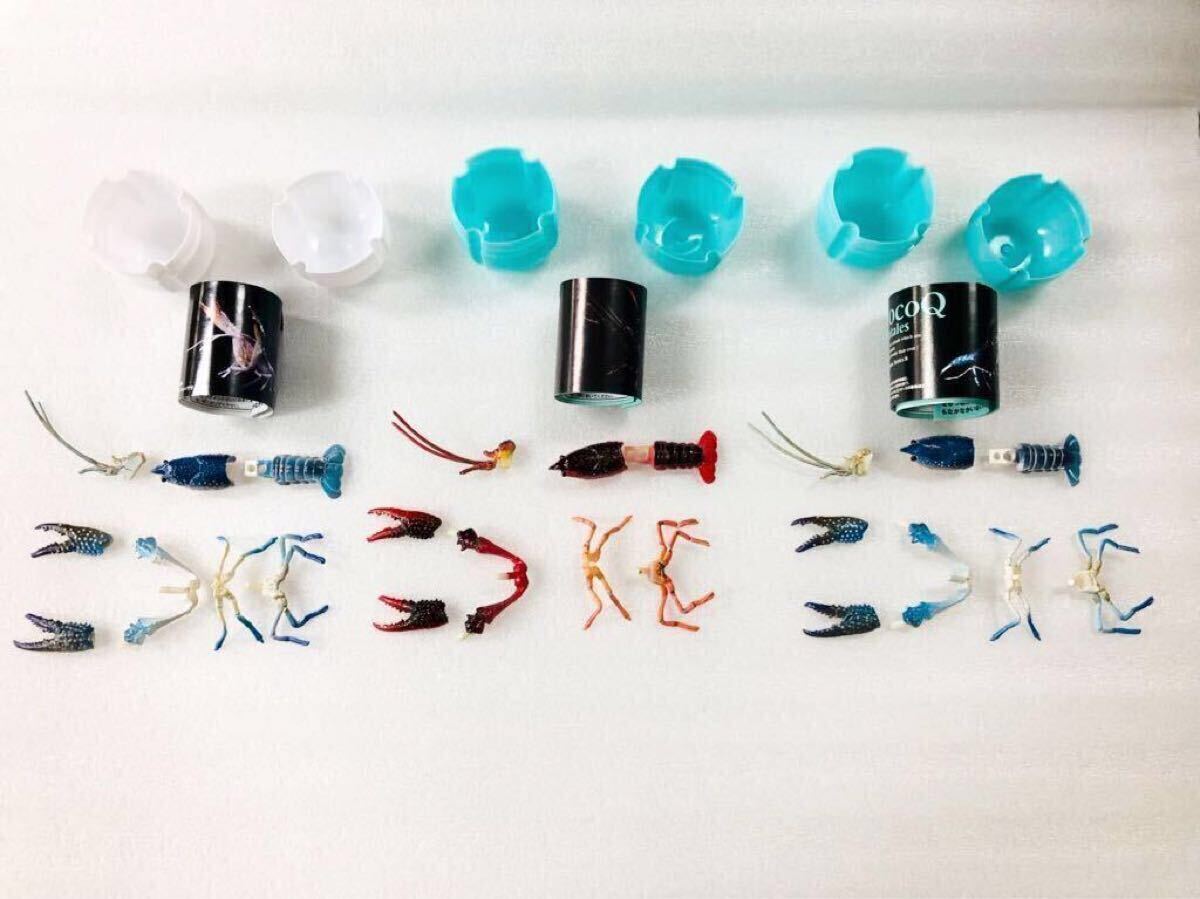 セブンイレブン 冬ギフト 2024 ☆即決☆チョコQ☆アメリカザリガニ☆フルコンプリート☆3種 日本の動物コレクション