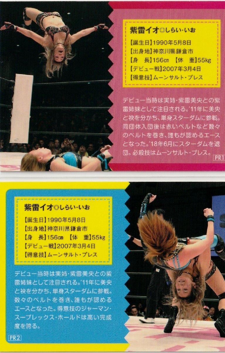 紫雷イオ/イヨ・スカイ】2018 BBM 女子プロレス ムック本 直筆 紫雷イオ/イヨ・スカイ】2018 BBM 女子プロレス ムック本 直筆