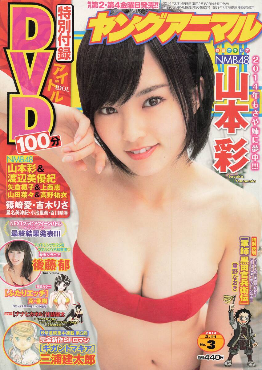 【厚手ラミネート加工】山本彩 切り抜き 雑誌グラビア 巨乳 B5 10ページ YS01 さや姉 巨乳 AKB48 NMB48