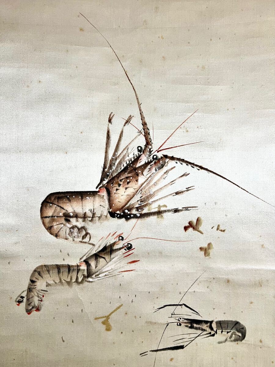 真作】/小山栄達(画)/中村不折(賛)/海老画賛/絖本/布袋屋掛軸 真作】/小山栄達(画)/中村不折(賛)/海老画賛/絖本/布袋屋掛軸
