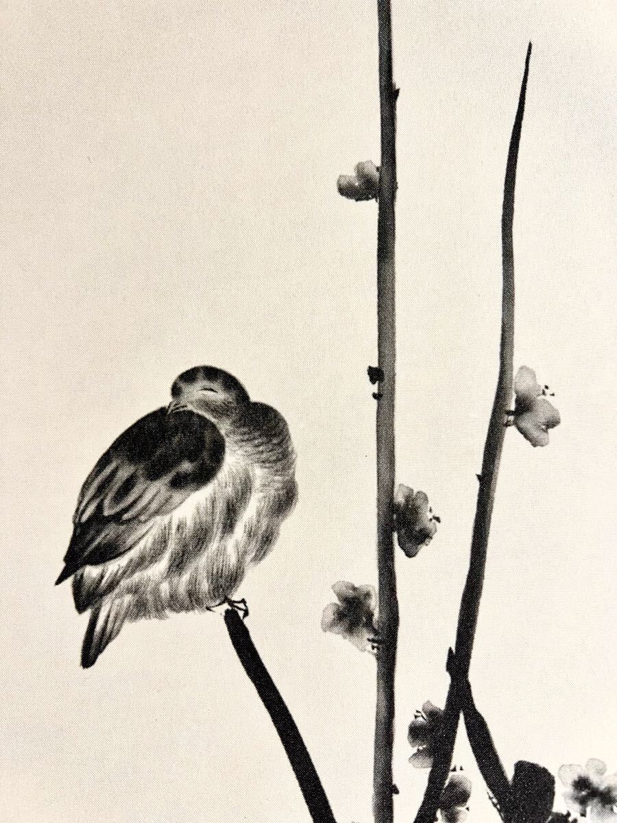 複製】【S8】宮本武蔵 二天「紅梅鳩図」絹本 工芸 水墨画 花鳥図 複製】【S8】宮本武蔵 二天「紅梅鳩図」絹本 工芸 水墨画 花鳥図