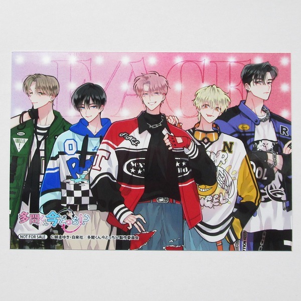 多聞くん今どっち！？ 9巻 CD F/ACE Eyes On You アニメイト 連動購入 特典 ブロマイド 師走ゆき イラストカード 白泉社 花とゆめ フェイス_画像1