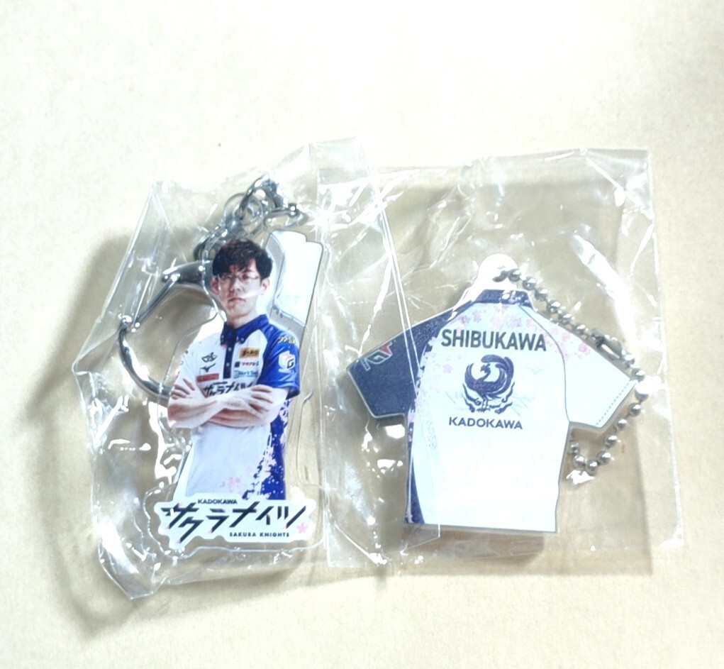 Ｍリーグ アクリルキーホルダー Mリーグ】ツインアクリルキーホルダー B(ABEMAS/フェニックス