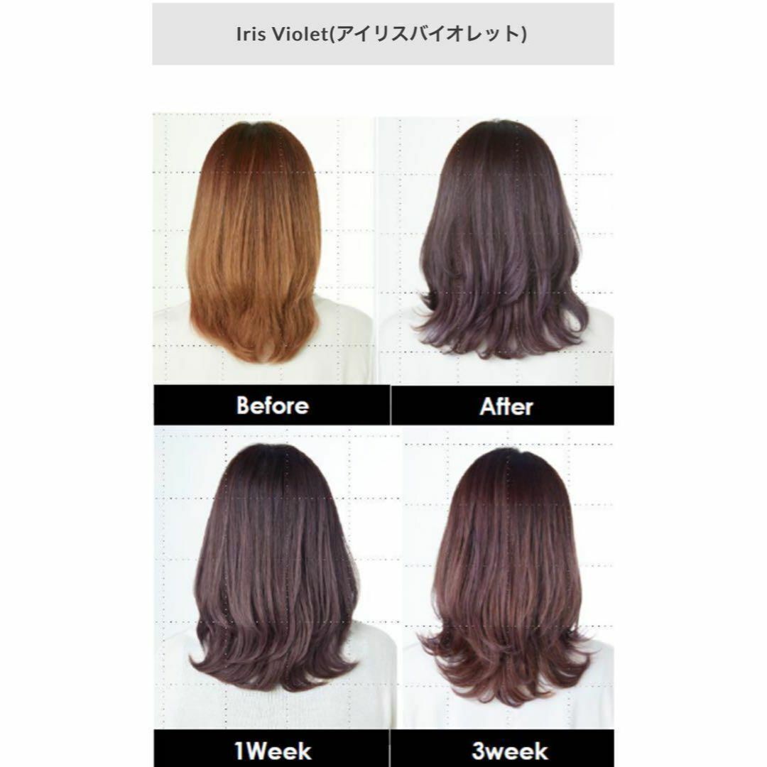 資生堂 アルティスト プリミエンス ヘアカラー ヘアカラー剤 おしゃれ染め ショート用 すぐに使えるセット付 アイリス バイオレット IV 9