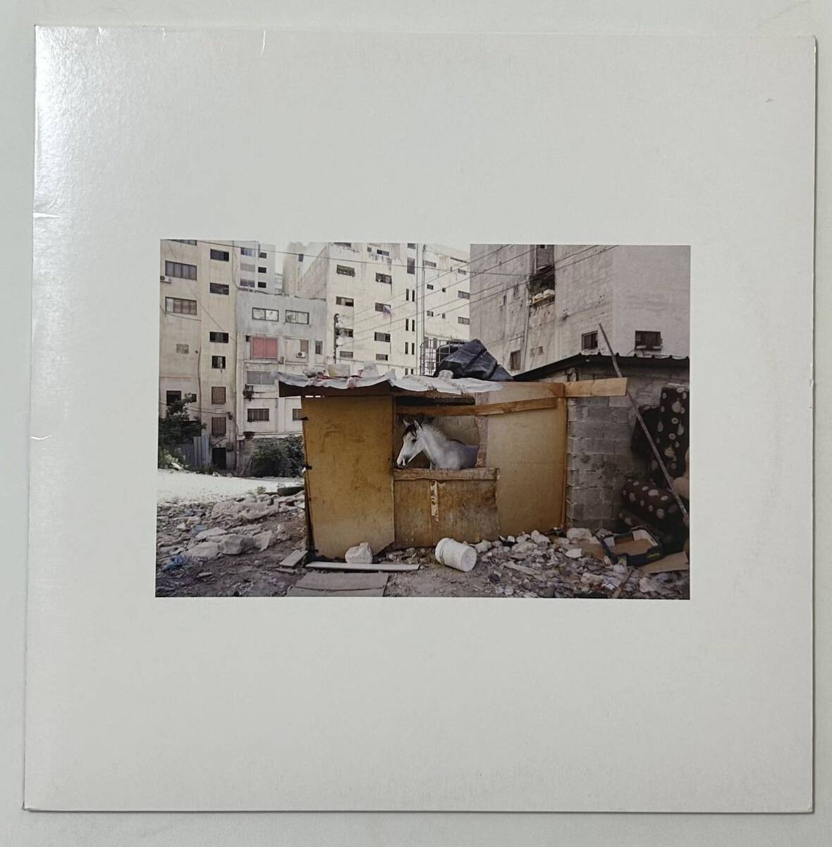 その他 [12] Red Axes / Caminho De Dreyfus