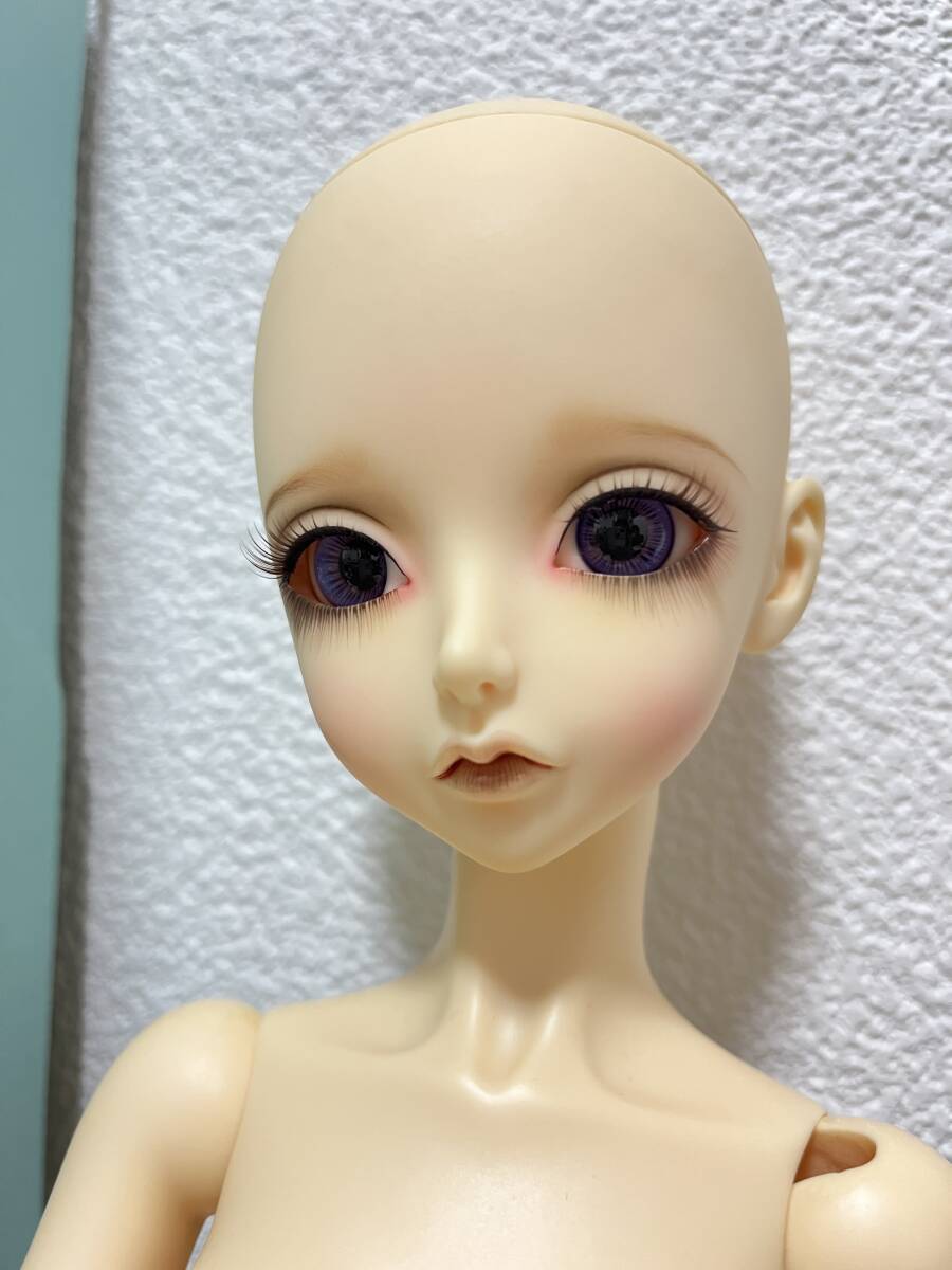 Peak's Woods FOC Goldie ABボディ ピークスウッズ ゴルディ Peak's Woods FOC Goldie ABボディ ピークスウッズ ゴルディ