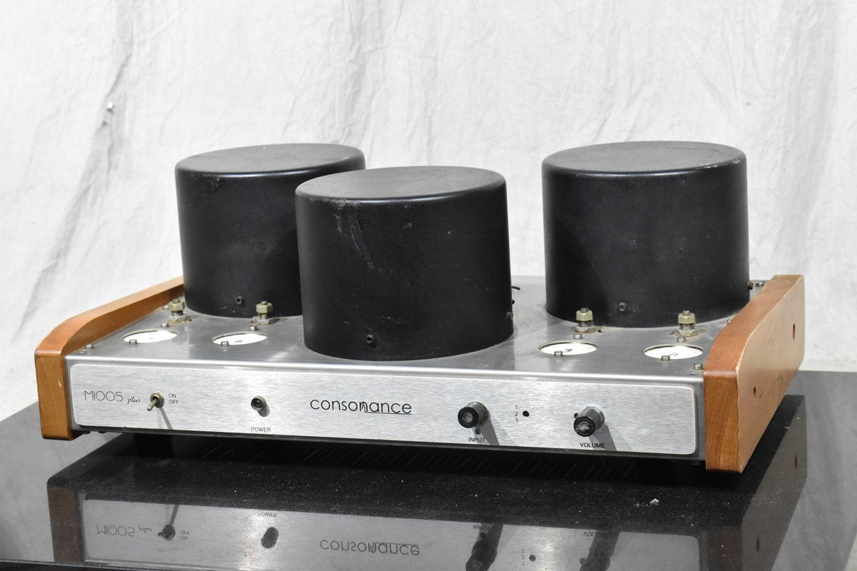 Opera Audio/オペラ オーディオ 真空管パワーアンプ Consonance M100S Plus【現状渡し品】