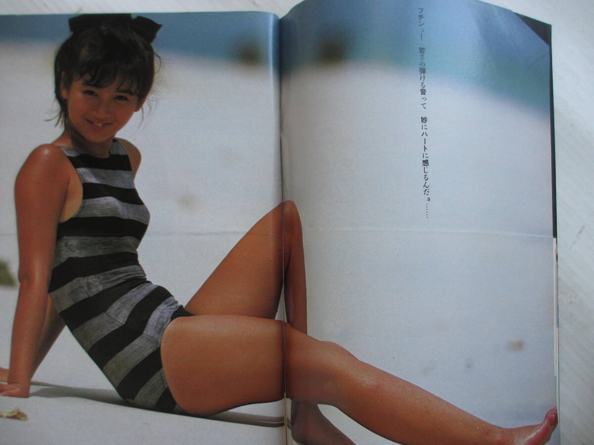 割引発見 昭和60年8月27日・No36・本田美奈子・吉沢あゆみ→倉橋のぞみ その他