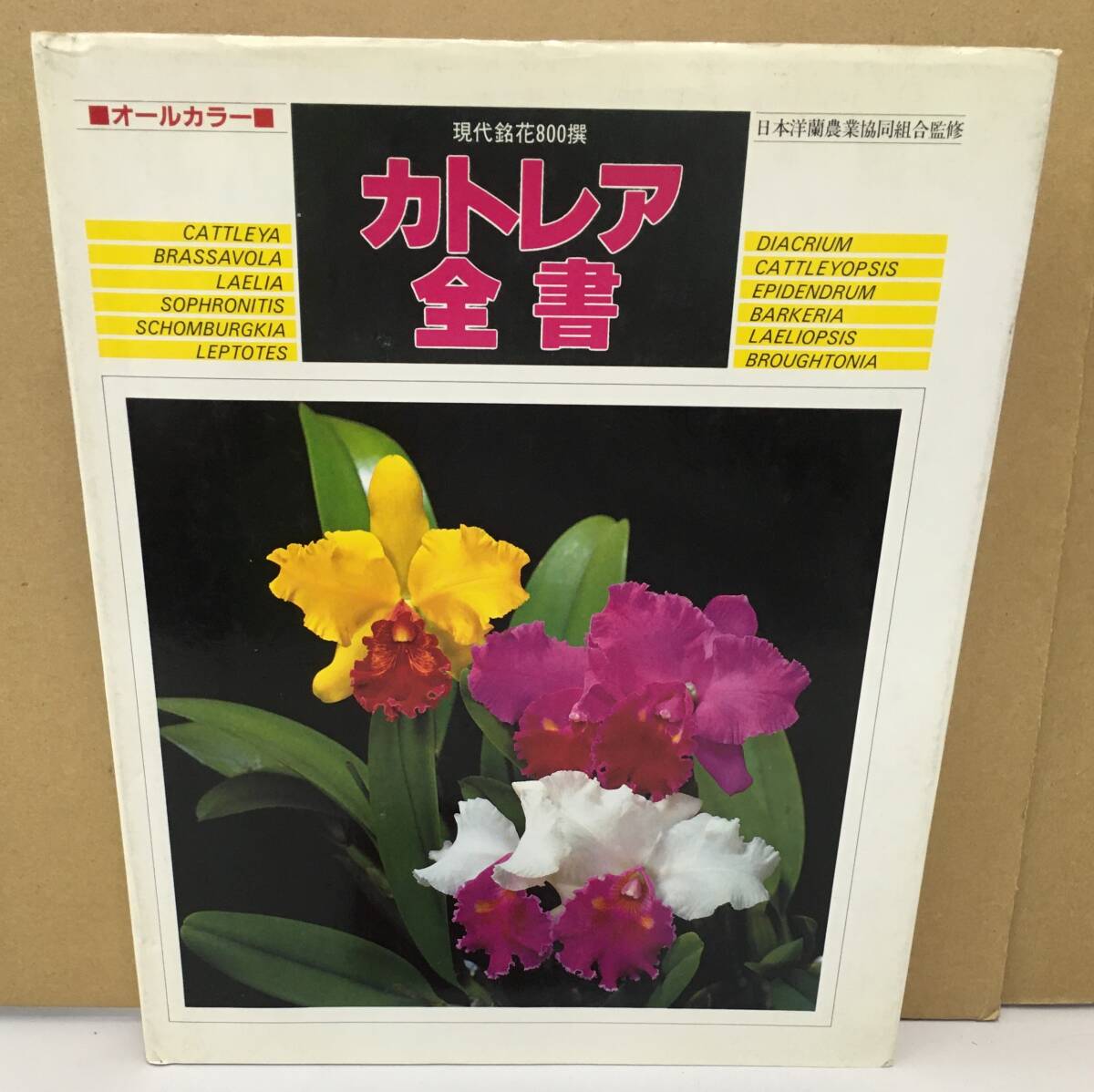 K1016-09　現代銘花800選　カトレア全書　日本洋蘭農業協同組合　樹石社　発行日：昭和52年2月10日