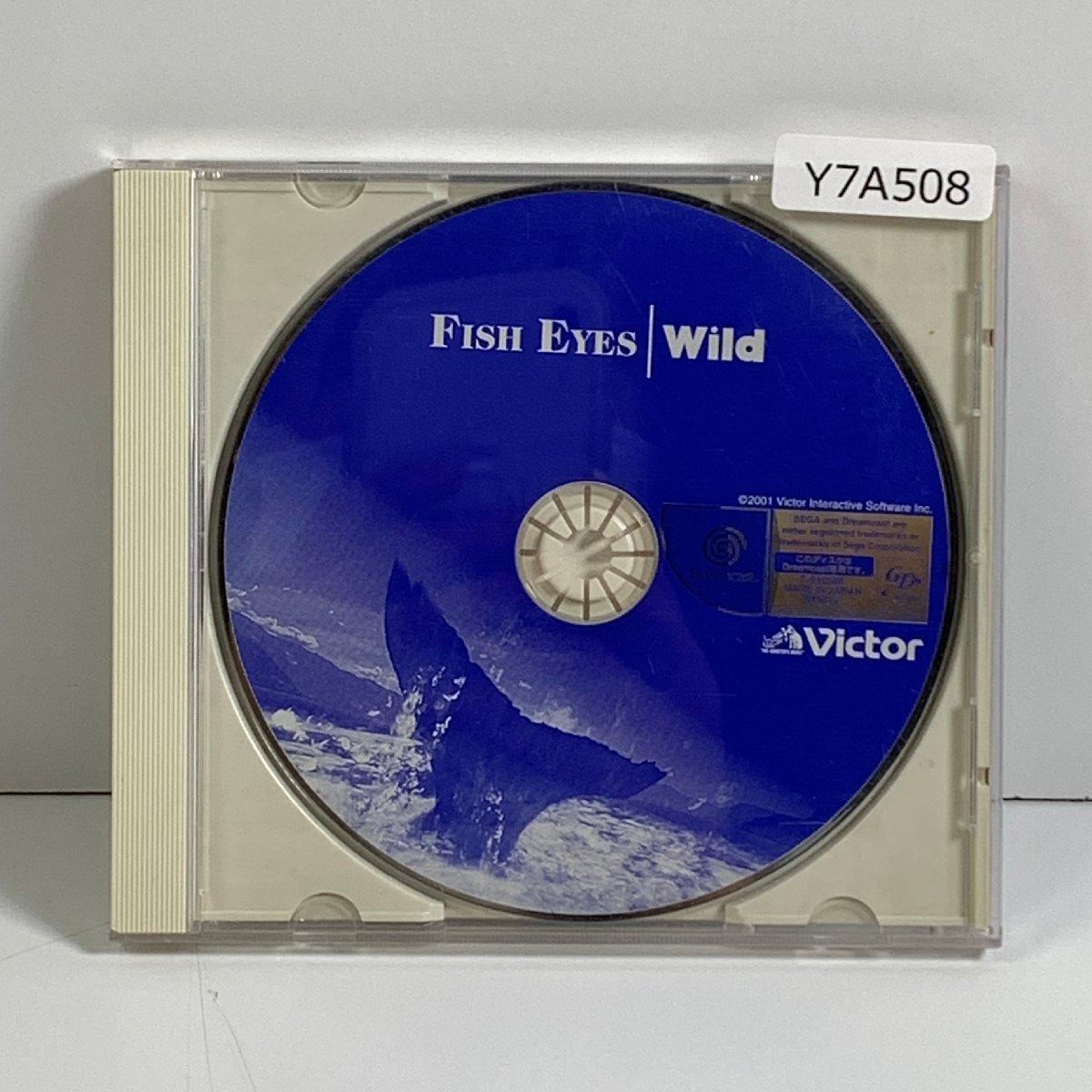 Y7A508 DC ドリームキャスト フィッシュアイズ ワイルド FISH EYES Wild 愛知 3cmサイズ