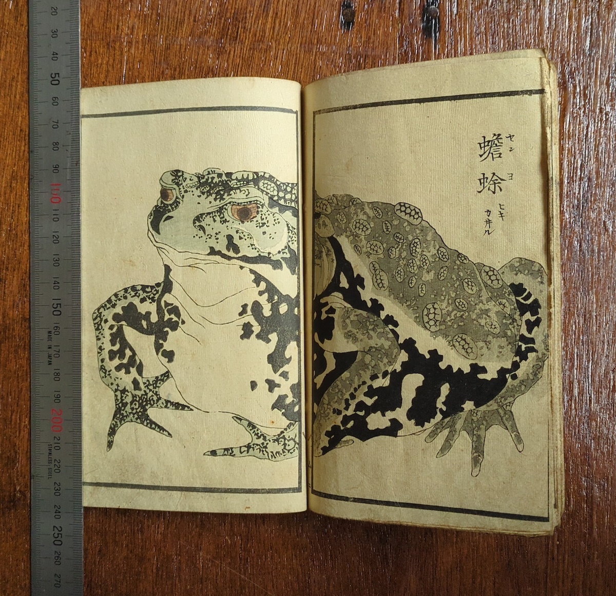「万象写真図譜」1冊 ｜和本 古典籍 絵本 絵入本 浮世絵 合巻本 草双紙 蛙竜妖怪犬鼠牛龍虎兎蛇馬鳥獣 Yahoo!オークション - 和本 浮世絵 万象写真図譜 初編 全 歌川貞秀画
