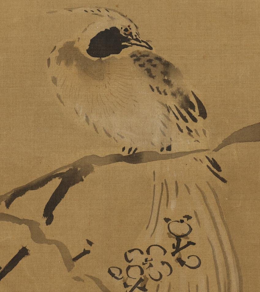 模写/狩野安信/叭可鳥図/布袋屋掛軸HD-223 模写】◇狩野常信◇梅尾長鳥◇江戸期◇花鳥◇梅花◇小禽◇絹本