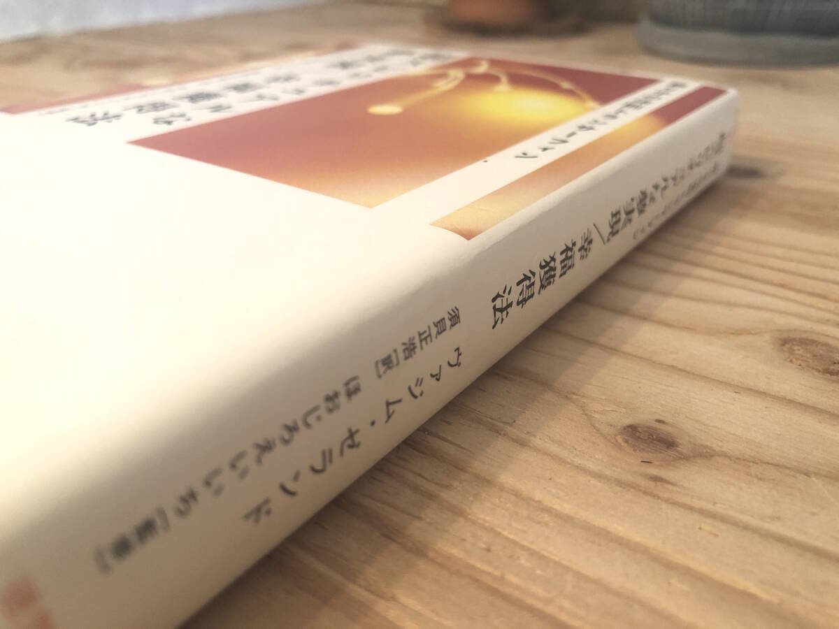 リアリティ・トランサーフィン4冊セット「振り子の法則」by リアリティ・トランサーフィン4冊セット「振り子の法則」by